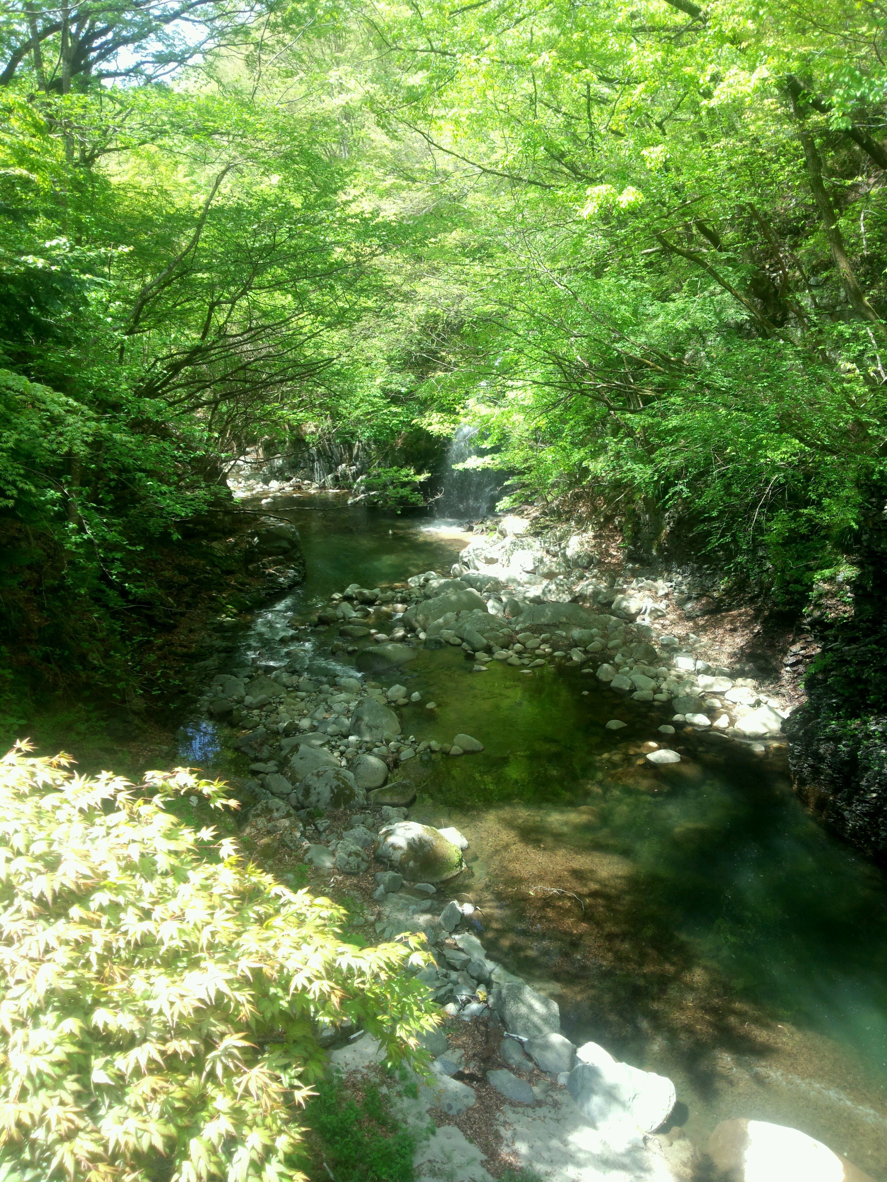夏 / 深緑と清流の季節