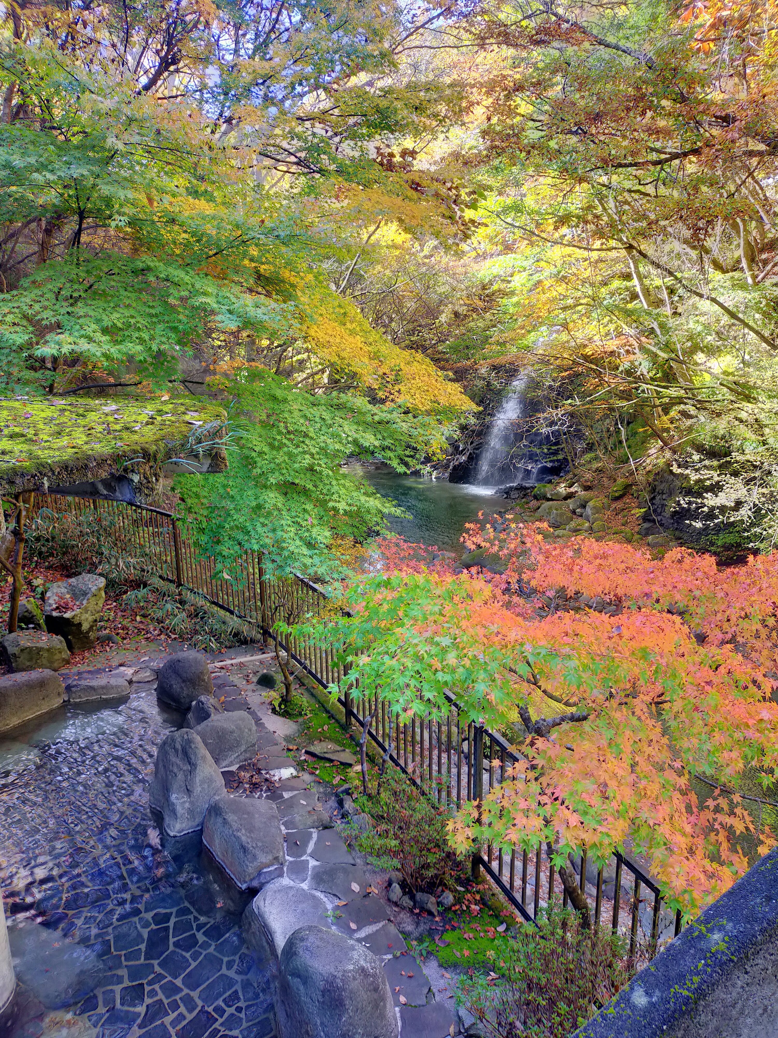 秋 / 紅葉と湯の季節